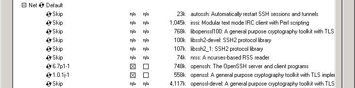 Agent 12c Deploy Cygwin 16