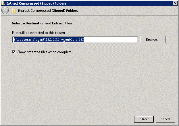 Agent 12c Deploy Windows 04